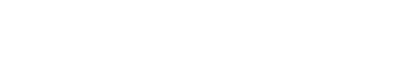 Division of IT Logo in white