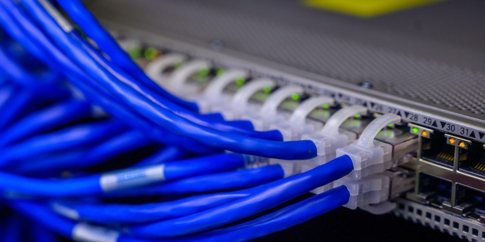 An image of ethernet cables plugged into a network switch.