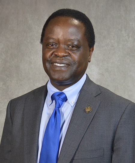 Photo of Dr. Adebisi Oladipupo