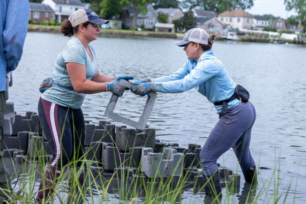 Photo of students helping distribute materials during a oyster preservation project.