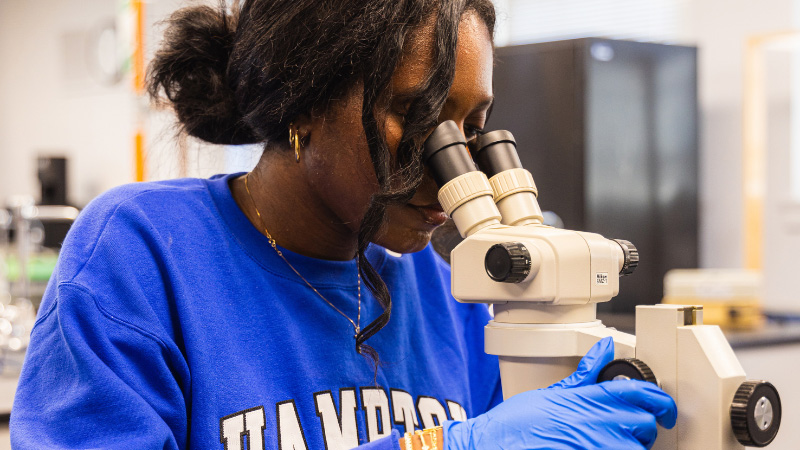 A photo of a student peering into a microscope.